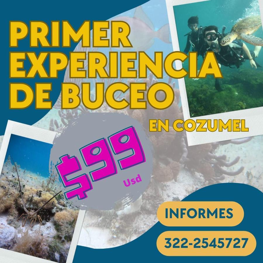 Divershostalcozumel